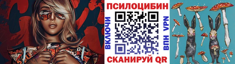 Галлюциногенные грибы прущие грибы Исилькуль